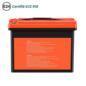 lifepo4 batterie 50ah