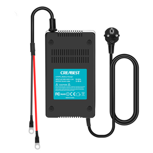 lifepo4 charger 24V 20A