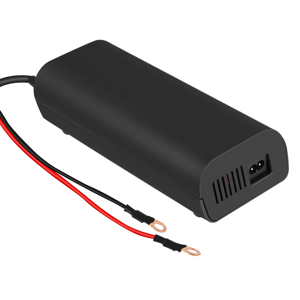 CREABEST Chargeur Batterie 12V 20A pour LiFePO4 Gel Lithium