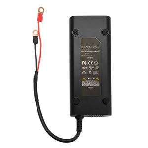 Chargeur de batterie dédié LiFePO4, courant de charge 8A