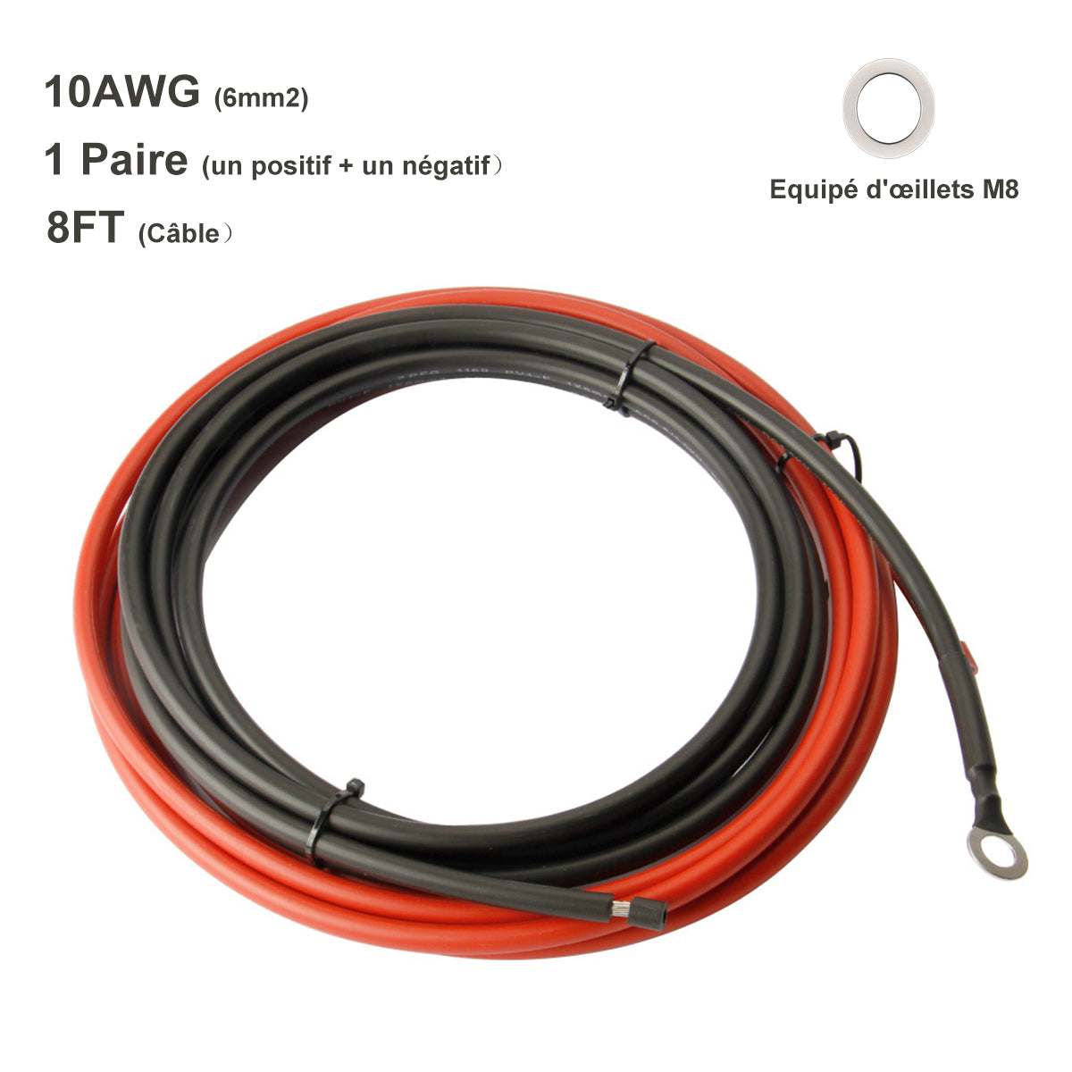 Câble de batterie 6 AWG 6 jauge avec bornes de 5/16 pouces Câbles d Câble de batterie 6 AWG 6 jauge avec bornes de 5/16 pouces Câbles d