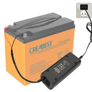 Chargeur de batterie dédié LiFePO4, courant de charge 8A