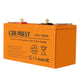 Batterie LiFePO4 120Ah 12.8 V pour camping-car caravane camping bateau lithium fer phosphate