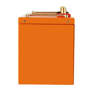 Batterie LiFePO4 120Ah 12.8 V pour camping-car caravane camping bateau lithium fer phosphate